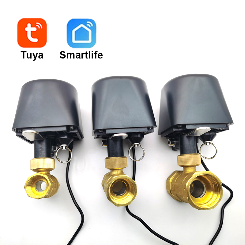 Smart Garden Zigbee - Tuya WiFi atau Zigbee Katup Air