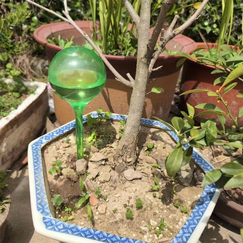 6PCS Bola Penyiram Otomatis un - Smart Garden Sensors ulasan dan harga