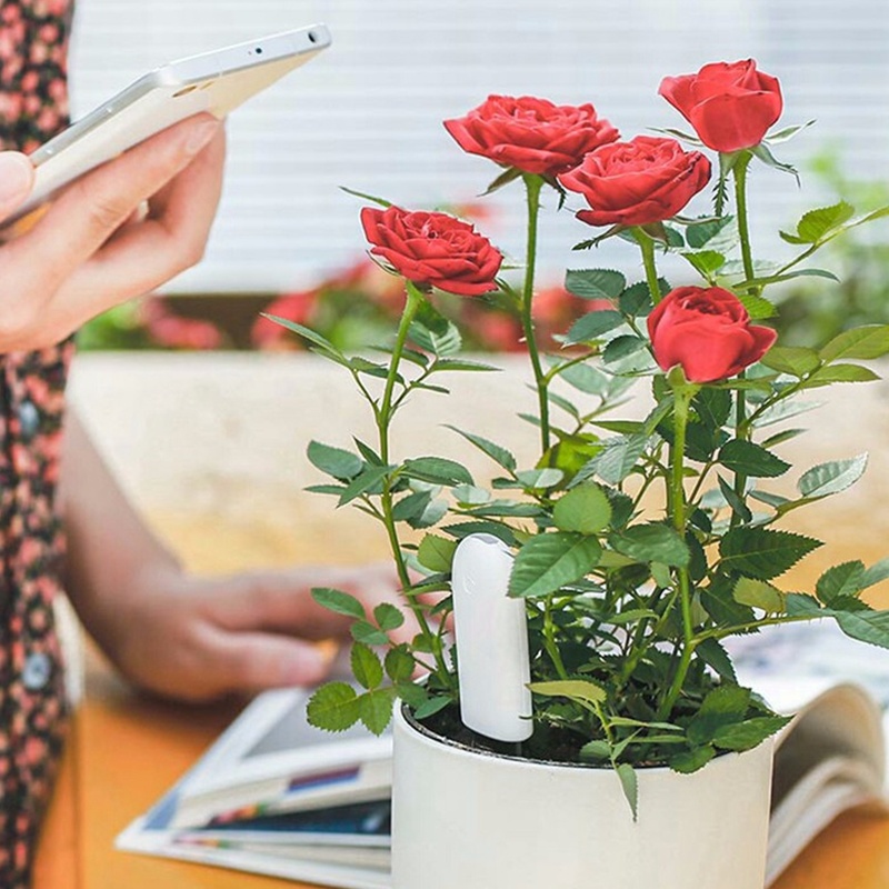 HHCC Monitor bunga detektor be - Smart Garden Sensors ulasan dan harga