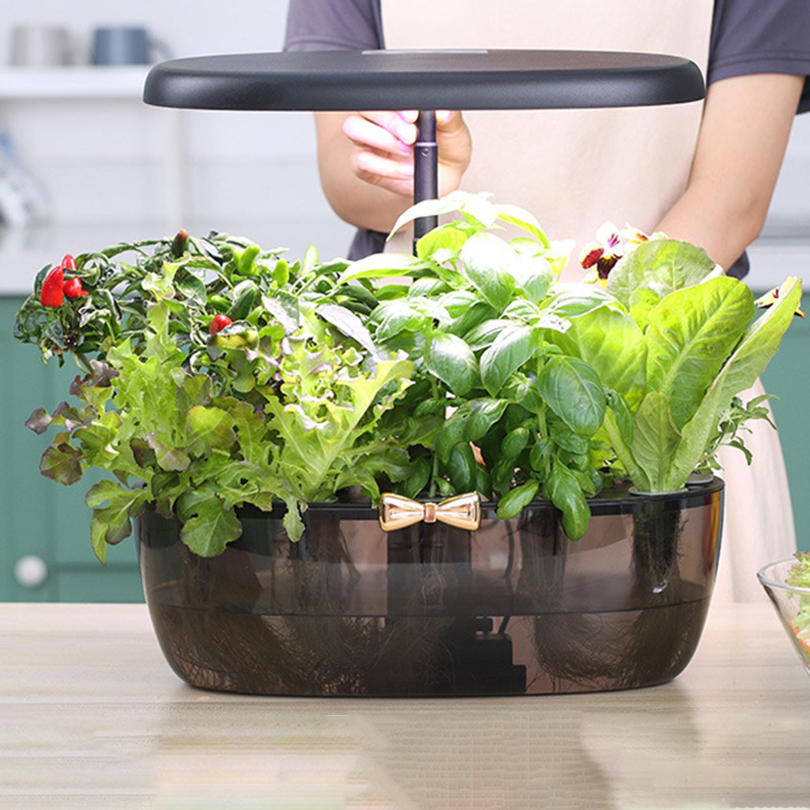 Mesin Hidroponik Ringan Gengga - Smart Pod Garden ulasan dan harga