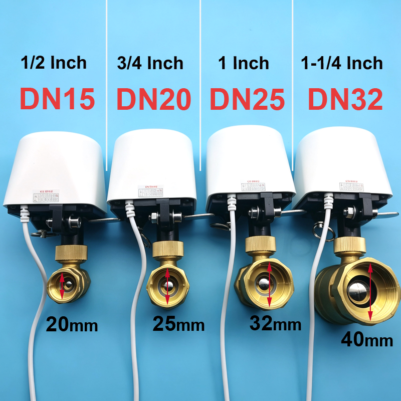 WIFI Smart Tuya Pengatur Waktu - Smart Garden Sphagnum Moss ulasan dan harga