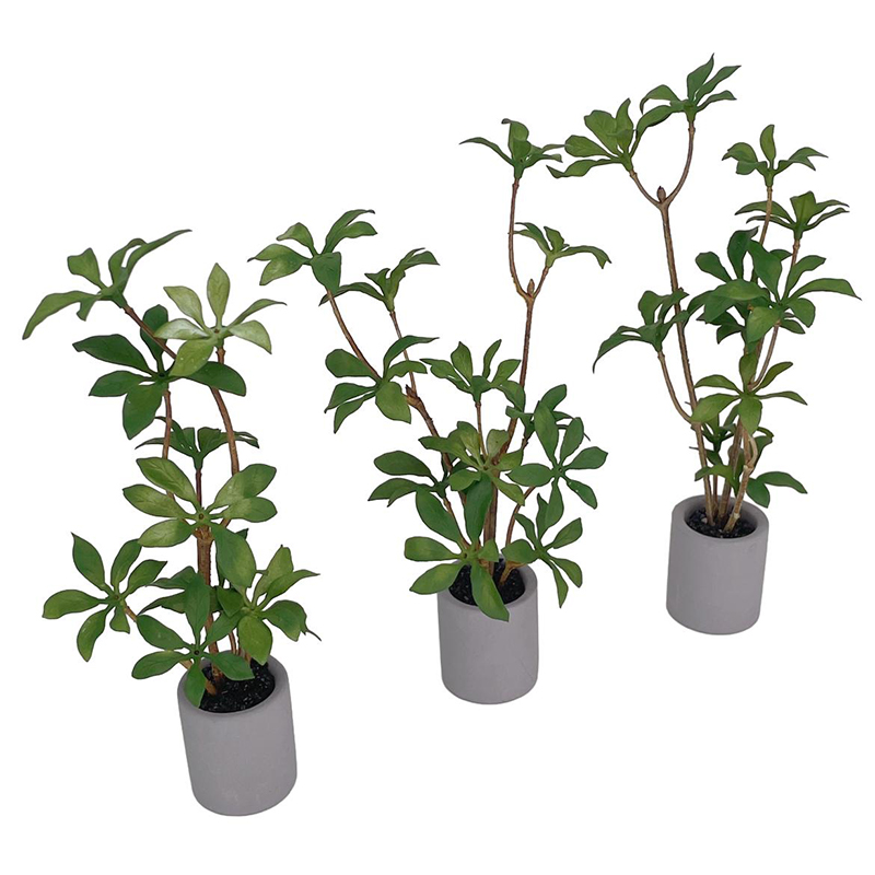 1:6 miniatur rumah boneka Pot  - Smart Garden Mini ulasan dan harga