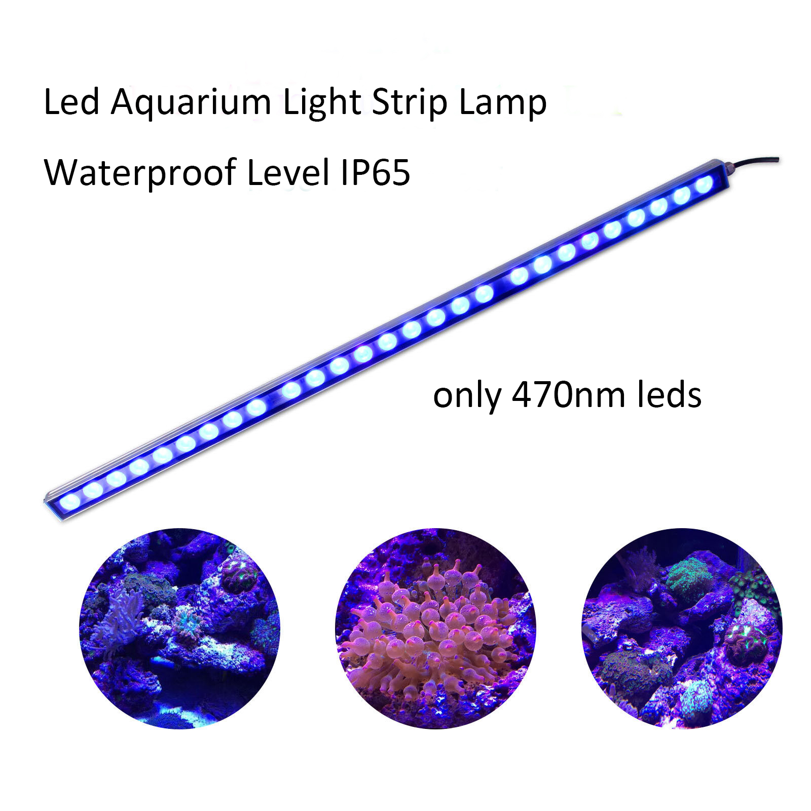 54W 81W 108W LED Bar Cahaya IP - Led Plant Light Strip ulasan dan harga