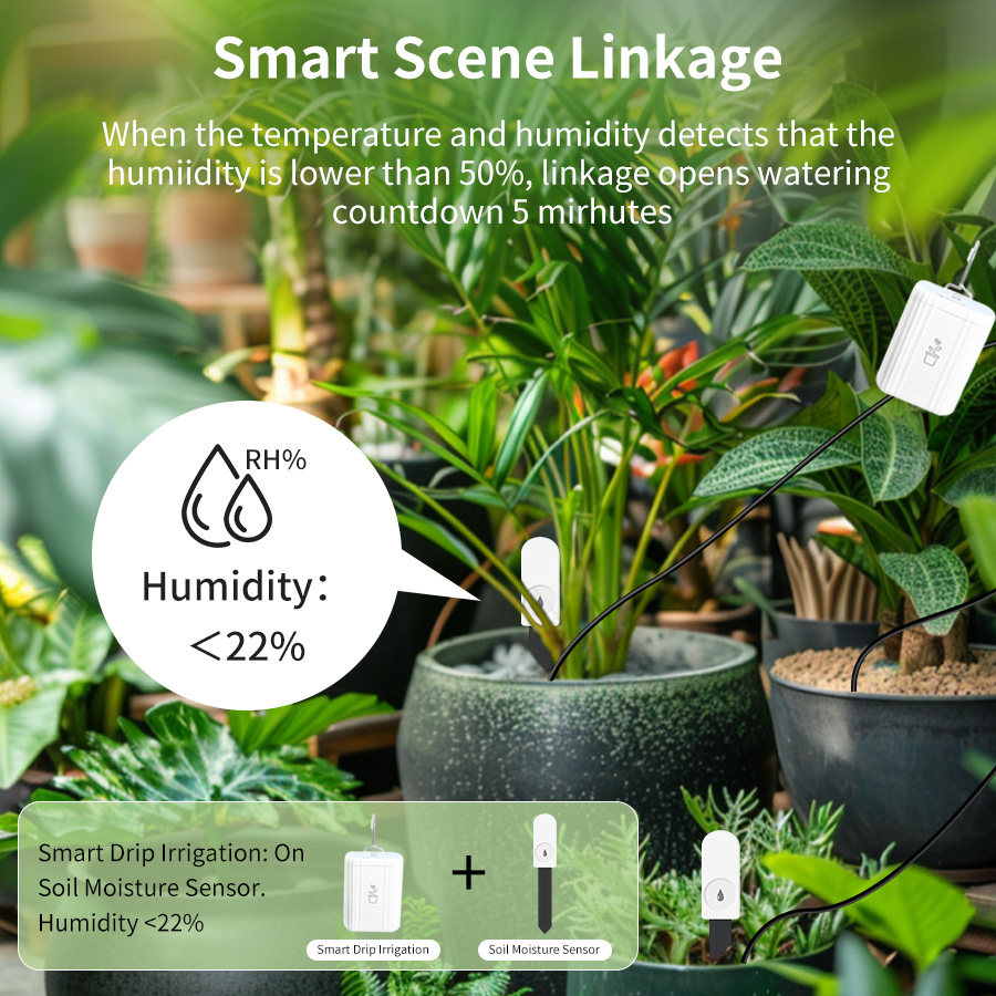 Pengukur Kelembaban Tanah Smar - Smart Garden Zigbee ulasan dan harga