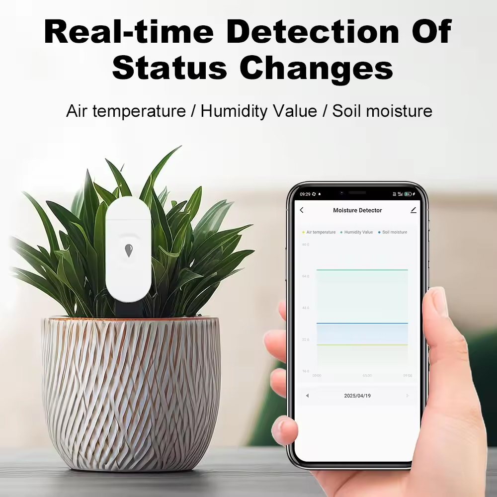 Tuya Zigbee Detektor Kelembapa - Smart Garden Zigbee ulasan dan harga