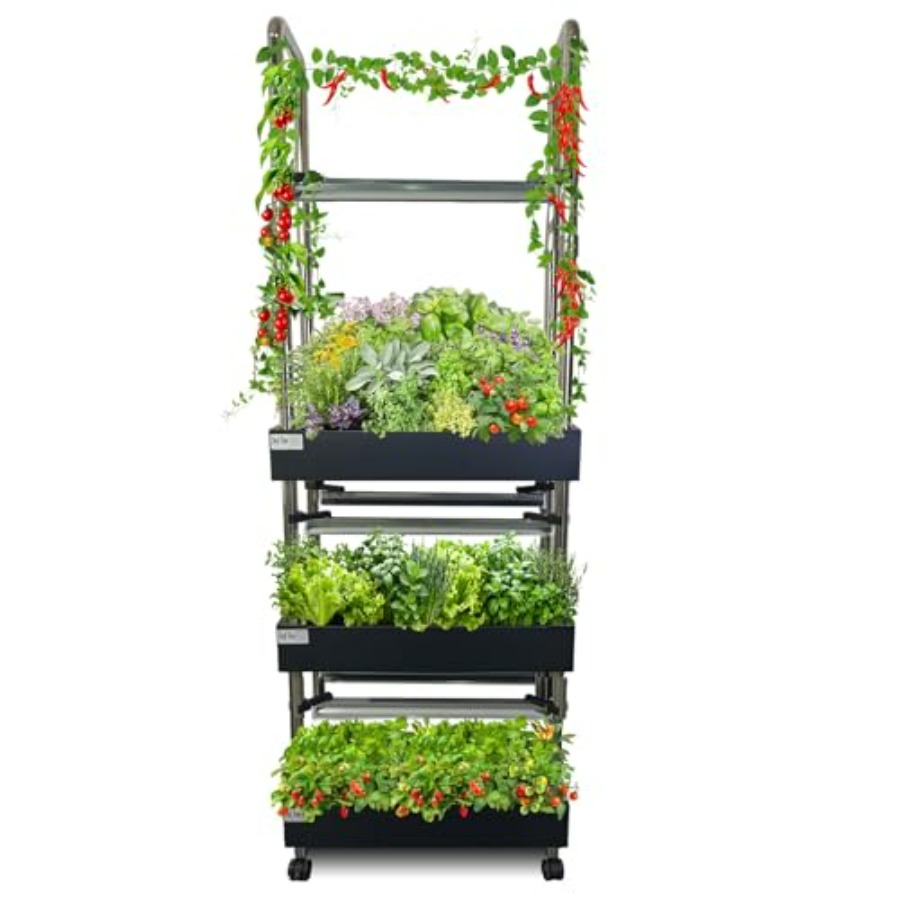Sistem hidroponik dalam ruanga - Smart Garden Water ulasan dan harga