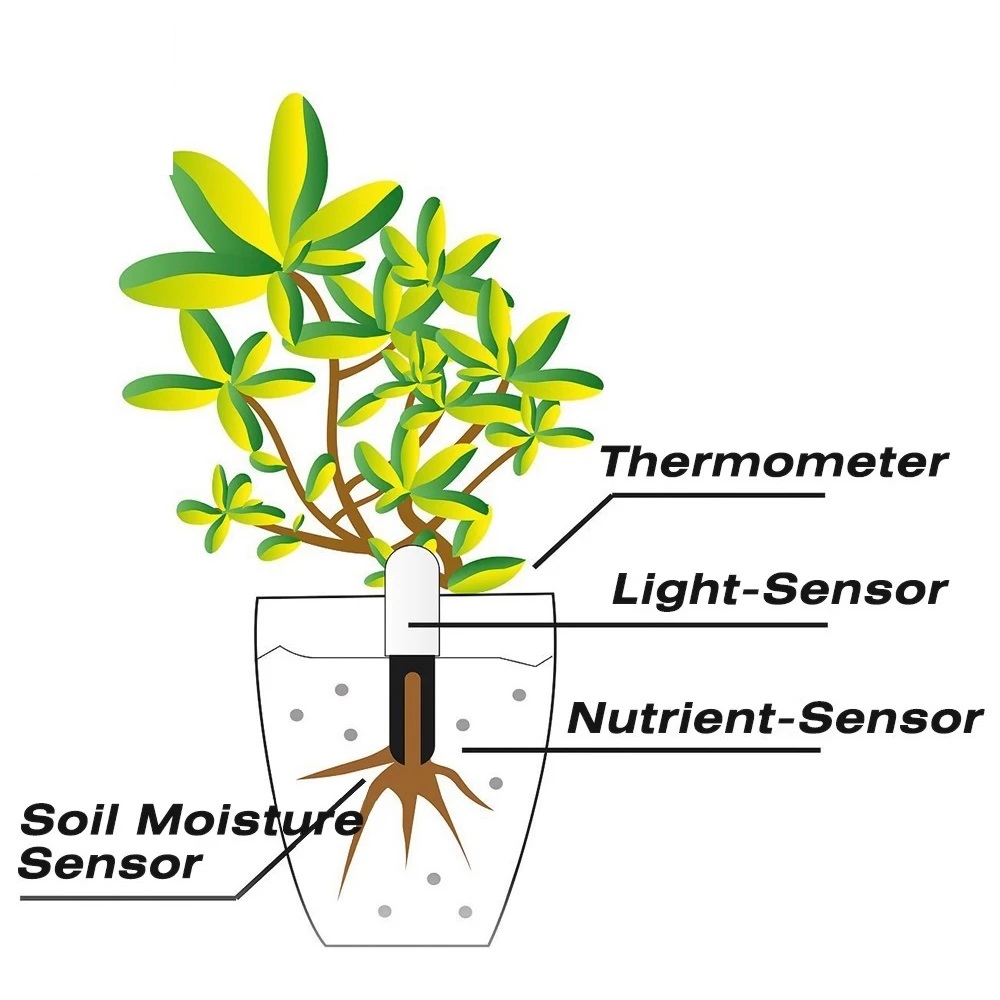 HHCC Monitor bunga detektor be - Smart Garden Sensors ulasan dan harga