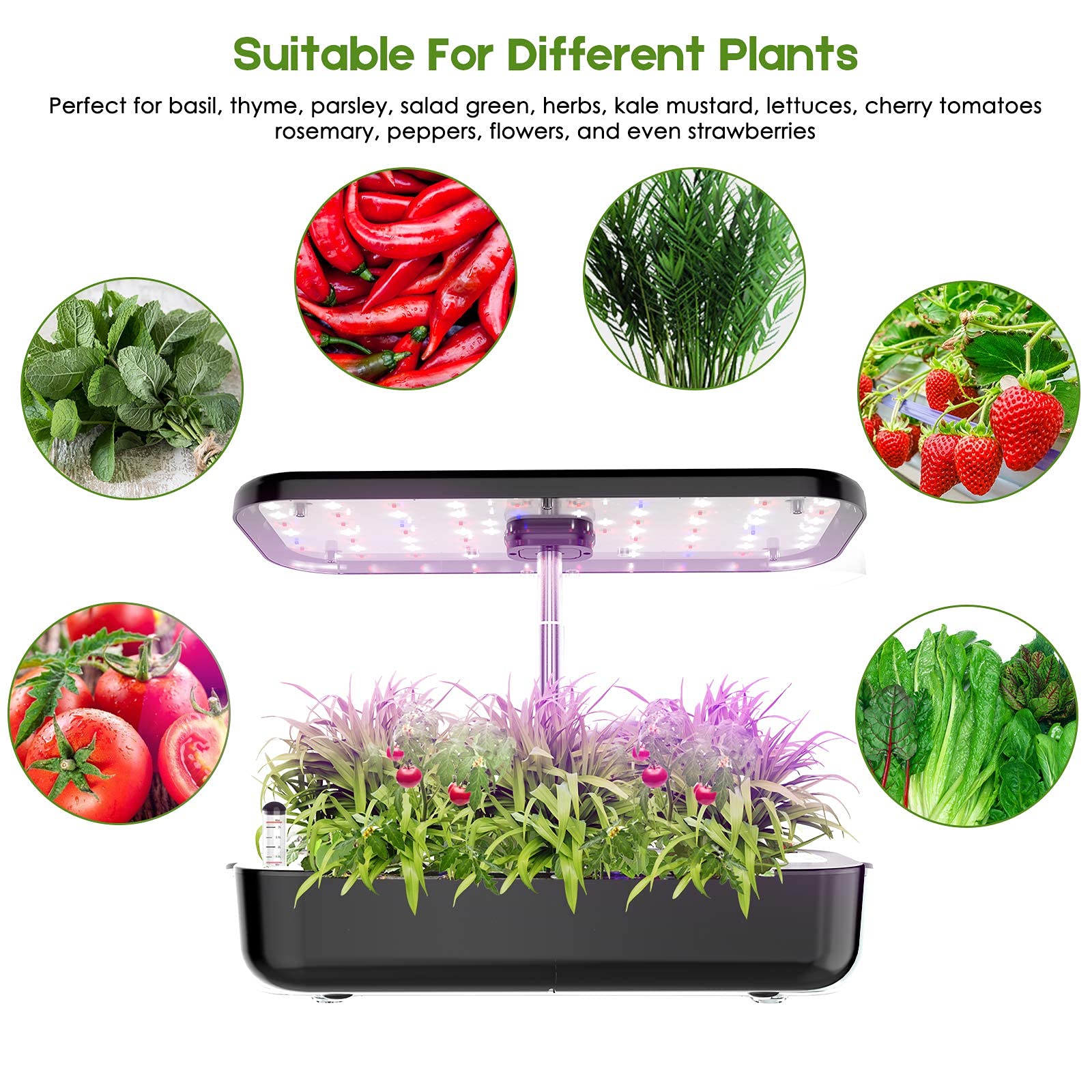 Sistem Penumbuh Hidroponik 12  - Smart Pod Garden ulasan dan harga