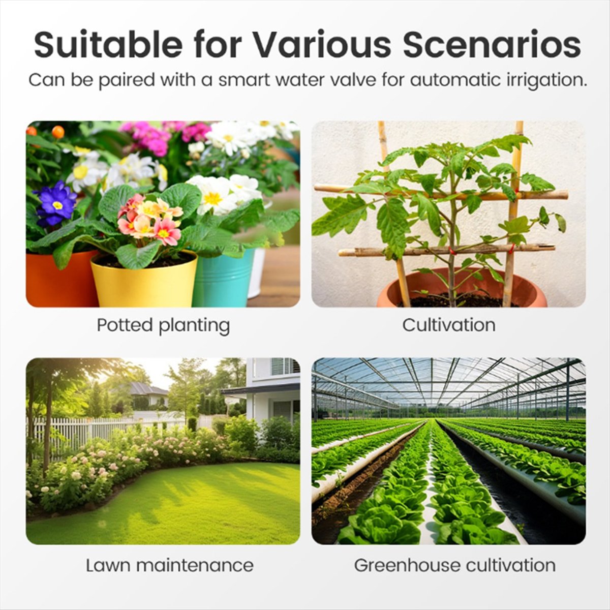 ABJA Tuya Zigbee Smart Soil Te - Smart Garden Zigbee ulasan dan harga